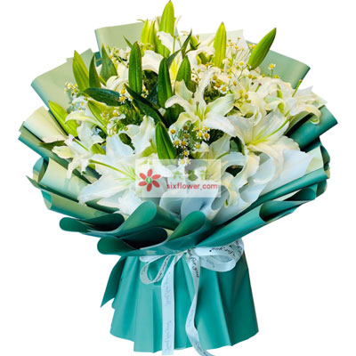 西宁8支白色多头百合洋甘菊，如潮的思念